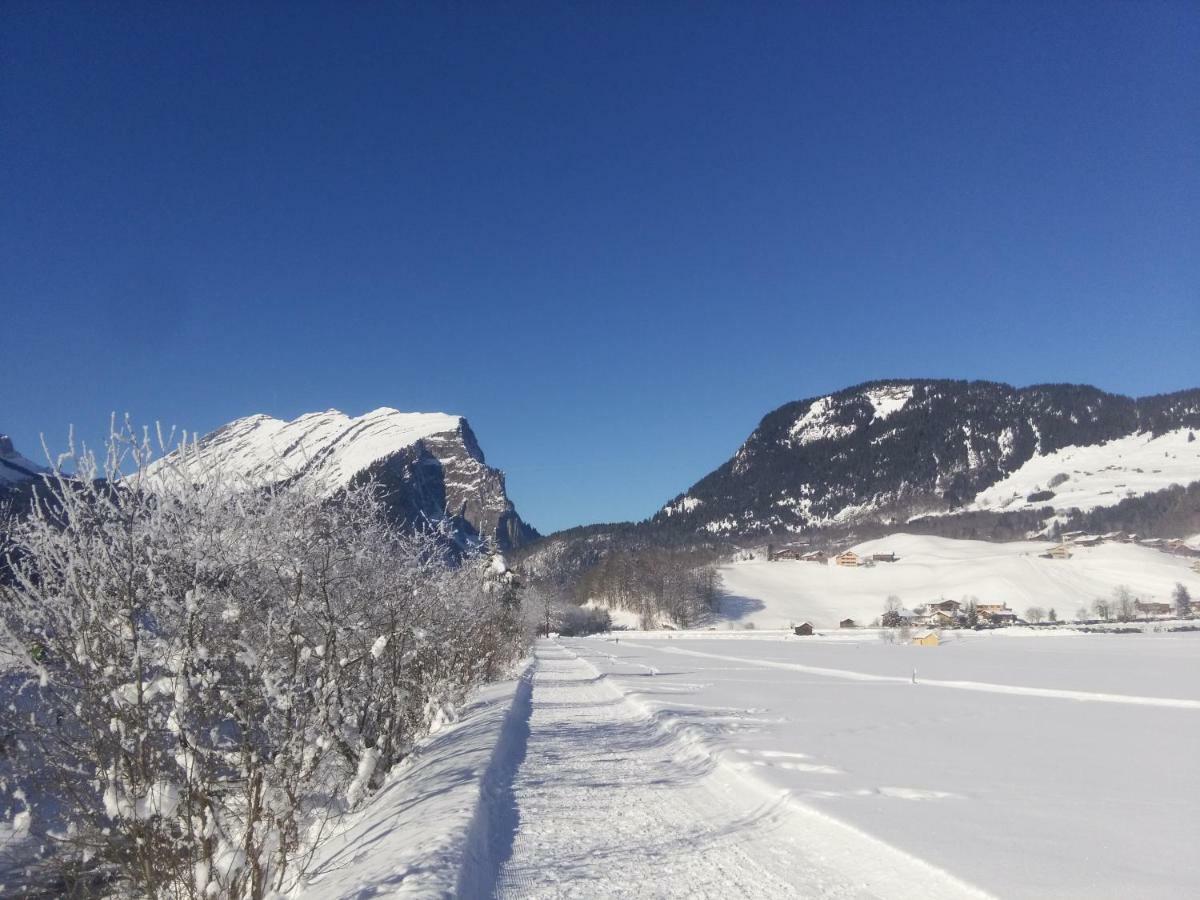 Gaestehaus Pfandl Au (Vorarlberg) Eksteriør billede